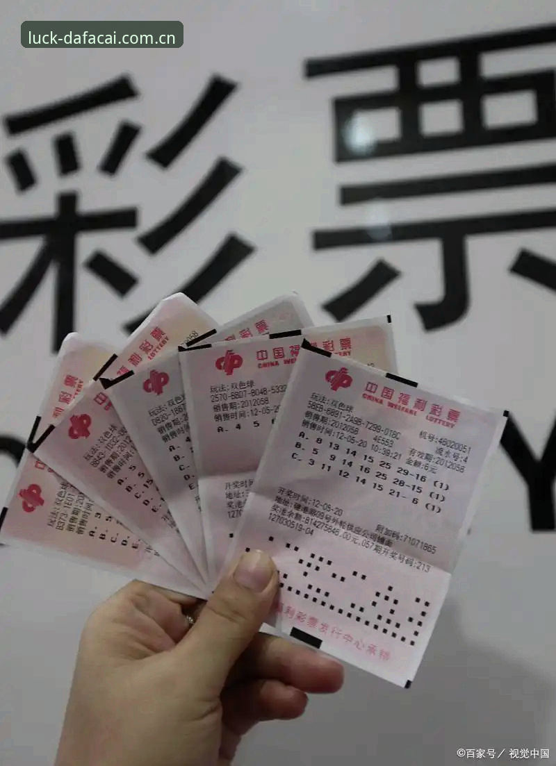 大发彩票新手专区 大发彩票新手专区全面评测:从注册入口到实战体验的深度解析